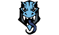 Team Dragon